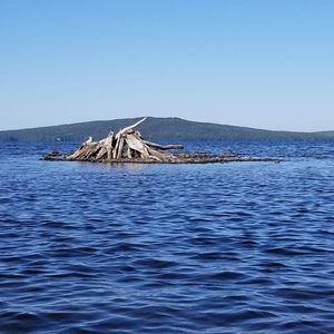 Meet your Posher, Leonie